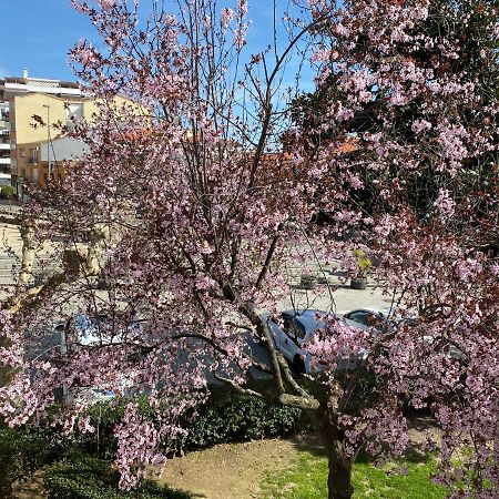 Apartamento Dacosta Plasencia Dış mekan fotoğraf