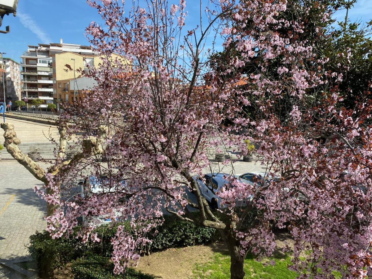 Apartamento Dacosta Plasencia Dış mekan fotoğraf